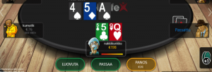 nettipokeri betsafella