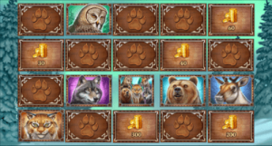 villin pohjolan tutkimusmatkailija