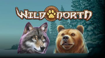 wild north slotti play'n go